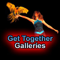 Pictures & Movies of the Get Together