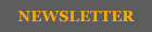 Store Newsletter
