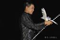 Louis Yan 4-160